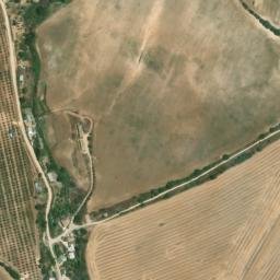 Satellite imagery of survey_point, DZ