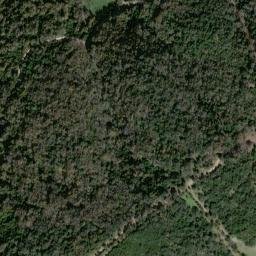 Satellite imagery of survey_point, DZ