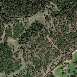 Satellite imagery of survey_point, DZ