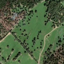 Satellite imagery of survey_point, DZ