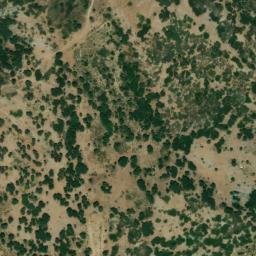 Satellite imagery of survey_point, DZ