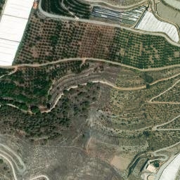 Satellite imagery of survey_point, DZ