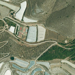 Satellite imagery of survey_point, DZ