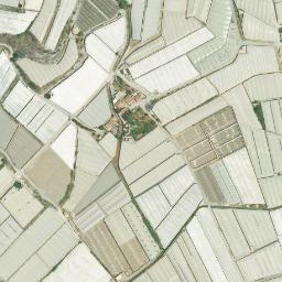 Satellite imagery of survey_point, DZ