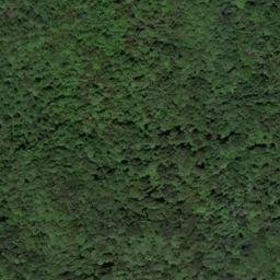 Satellite imagery of Sulphur Ridge, US