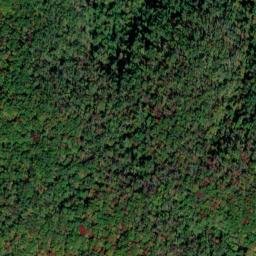Satellite imagery of Yellow Cliff, US