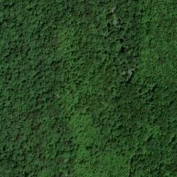 Satellite imagery of Coon Patch Ridge, US