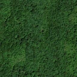 Satellite imagery of Coon Patch Ridge, US