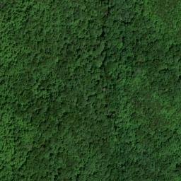 Satellite imagery of Coon Patch Ridge, US