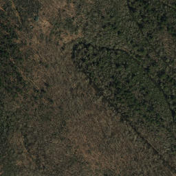 Satellite imagery of Otter Arm, US