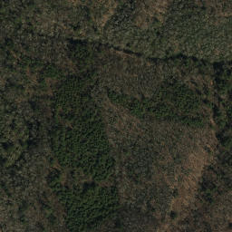 Satellite imagery of Otter Arm, US