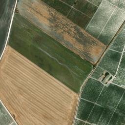 Satellite imagery of survey_point, DZ