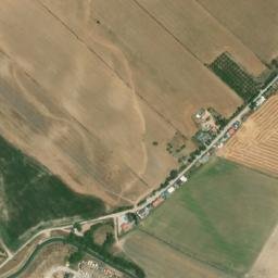 Satellite imagery of survey_point, DZ