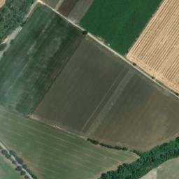 Satellite imagery of survey_point, DZ