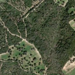 Satellite imagery of survey_point, DZ