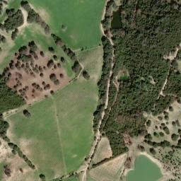 Satellite imagery of survey_point, DZ