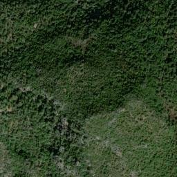 Satellite imagery of survey_point, DZ
