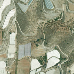 Satellite imagery of survey_point, DZ