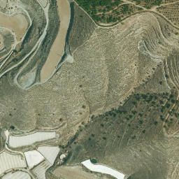 Satellite imagery of survey_point, DZ