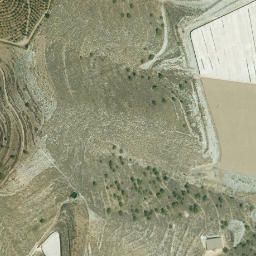 Satellite imagery of survey_point, DZ