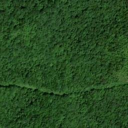 Satellite imagery of Coon Patch Ridge, US
