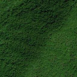 Satellite imagery of Piney Ridge, US