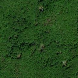 Satellite imagery of Piney Ridge, US