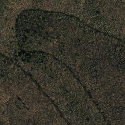 Satellite imagery of Otter Arm, US