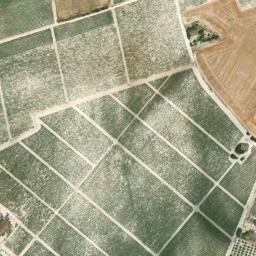 Satellite imagery of survey_point, DZ