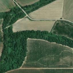 Satellite imagery of survey_point, DZ