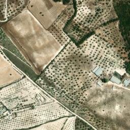 Satellite imagery of survey_point, DZ