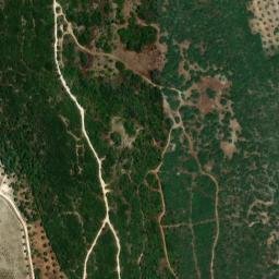 Satellite imagery of survey_point, DZ
