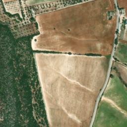 Satellite imagery of survey_point, DZ