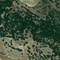 Satellite imagery of survey_point, DZ