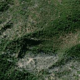 Satellite imagery of survey_point, DZ