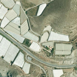 Satellite imagery of survey_point, DZ