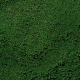 Satellite imagery of Chestnut Ridge, US