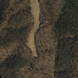 Satellite imagery of Otter Arm, US