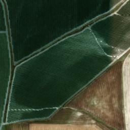 Satellite imagery of survey_point, DZ