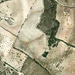 Satellite imagery of survey_point, DZ