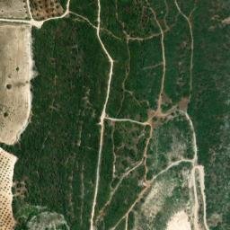 Satellite imagery of survey_point, DZ