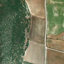 Satellite imagery of survey_point, DZ