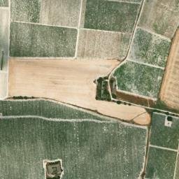 Satellite imagery of survey_point, DZ