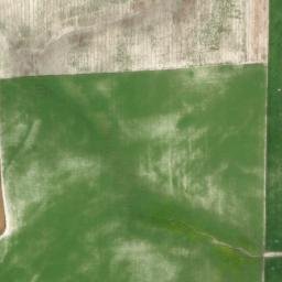 Satellite imagery of survey_point, DZ