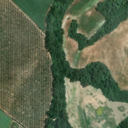 Satellite imagery of survey_point, DZ