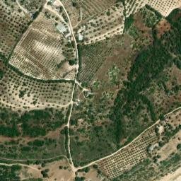 Satellite imagery of survey_point, DZ
