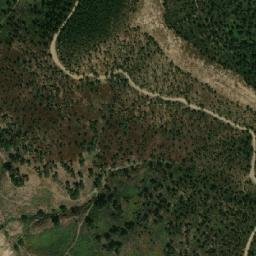 Satellite imagery of Djebel ed Debarh, DZ