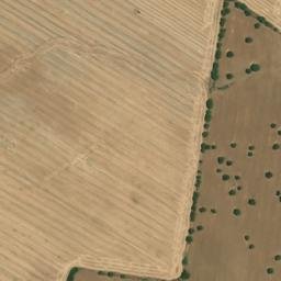 Satellite imagery of survey_point, DZ