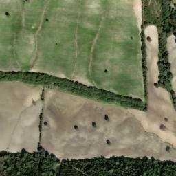 Satellite imagery of survey_point, DZ