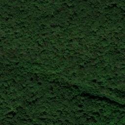 Satellite imagery of Fox Ridge, US